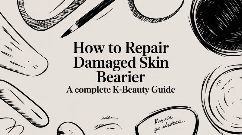 How to Repair a Damaged Skin Barrier: Your Ultimate K-Beauty Guide
