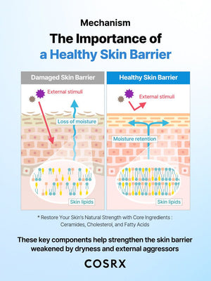 COSRX The Ceramide Skin Barrier Moisturizer 80ml, image 14