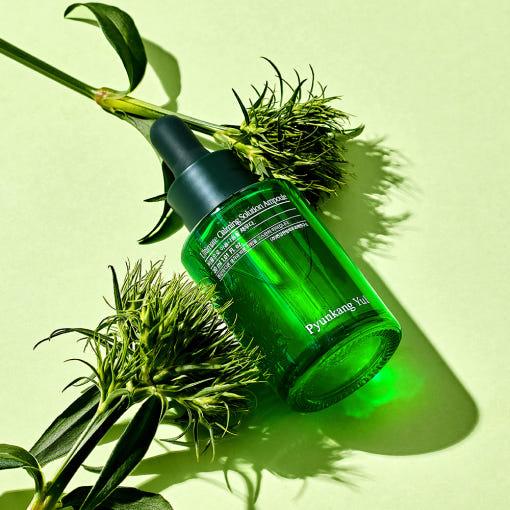 Pyunkang Yul [Pyunkang Yul] Ultimate Calming Solution Ampoule 30ml