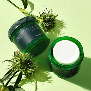 Pyunkang Yul [Pyunkang Yul] Ultimate Calming Solution Toner Pad 70 Pads/140ml close-up view