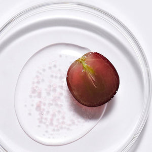 Dr.Ceuracle Vegan Active Berry First Essence how to use