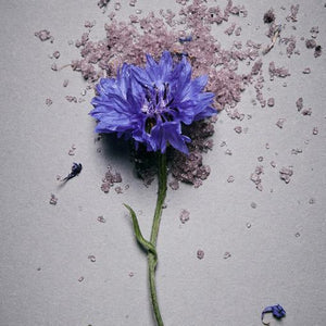 AROMATICA Serene Bath Salts Lavender & Marjoram product texture