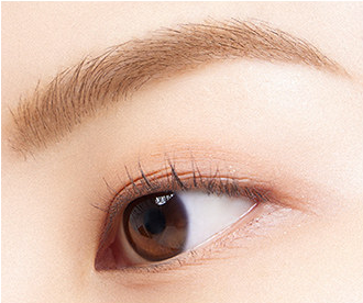 BANILA CO Smudge Out Detail Browcara 4g (Eyebrow Color) 4 g