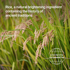 Parnell Niacinamide Rice Brightening Wash Off Pack 100ml, image 11