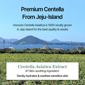 mixsoon Centella Cleansing Water 300ml, image 3