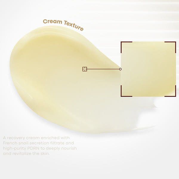 TONYMOLY Snail PDRN Recovery Cream: Barrier Repair 50ml – Mirai Skin