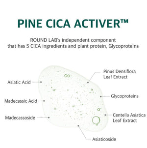 Round Lab Pine Calming Cica Ampoule 30ml, image 5